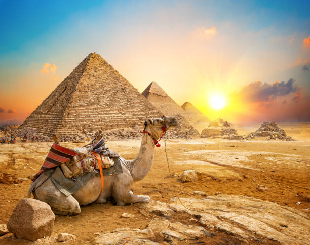 Cairo về đêm: Thành phố không bao giờ ngủ của Ai Cập